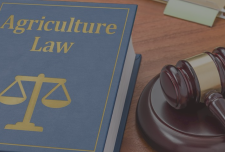 Best Agricultural LawyersConverseIndiana