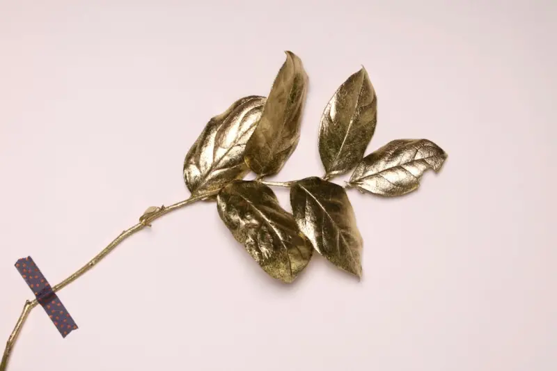 Turning Green into Gold: Harnessing Tax Incentives for Sustainable Tech
