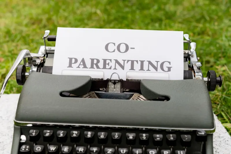 Redefining Co‑Parenting After Custody: A Blueprint for the Modern Family Redefining Co‑Parenting After Custody: A Blueprint for the Modern Family