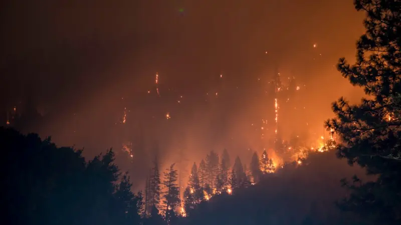 When Auto‑Scaling Turns Into a Wildfire: Taming Hidden Threats When Auto‑Scaling Turns Into a Wildfire: Taming Hidden Threats