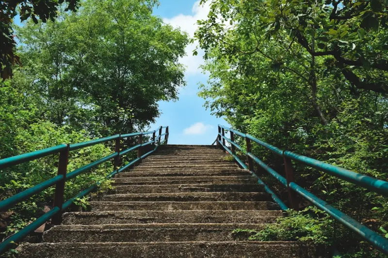 Step‑Parent Rights: Bridging the Legal Gap in Blended Families Step‑Parent Rights: Bridging the Legal Gap in Blended Families