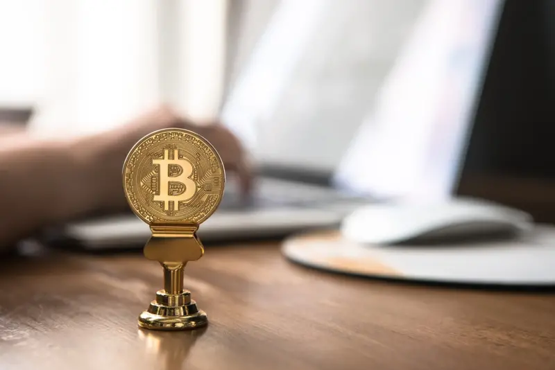 Digital Asset Trusts: Safeguarding Crypto and NFTs in Modern Estate Planning