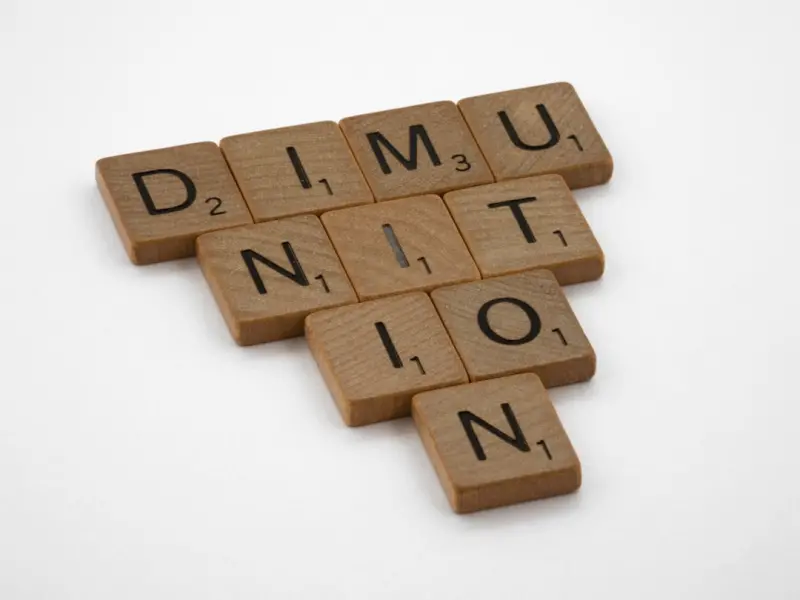 Divorce in the Age of AI: Navigating Algorithmic Negotiations and Digital Evidence