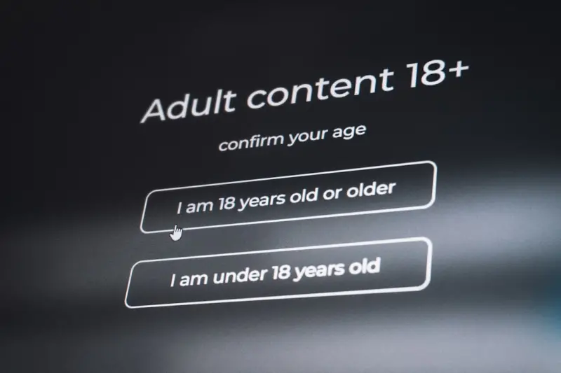 Divorce in the Age of Digital Identity: Untangling Online Lives