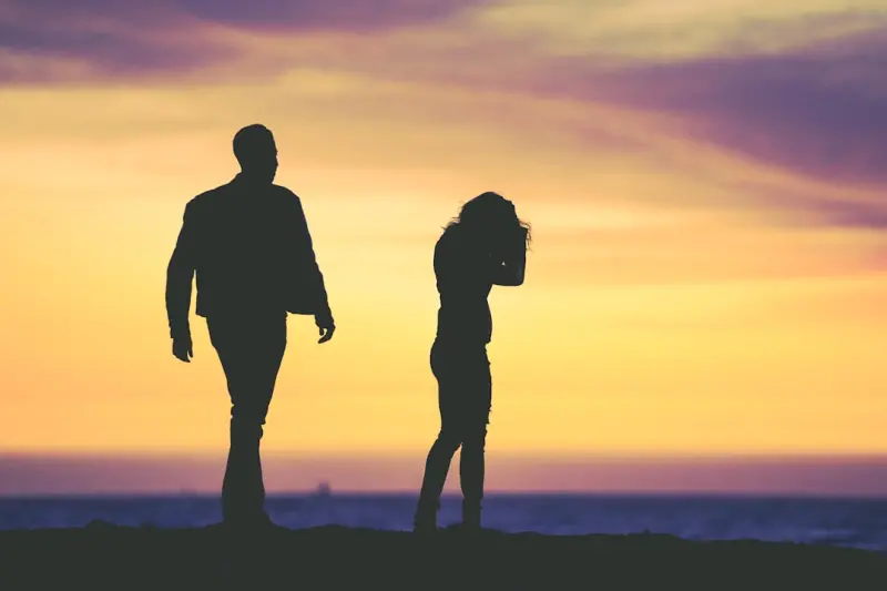 Finding Emotional Agility After Divorce: A Practical Guide for Professionals Finding Emotional Agility After Divorce: A Practical Guide for Professionals