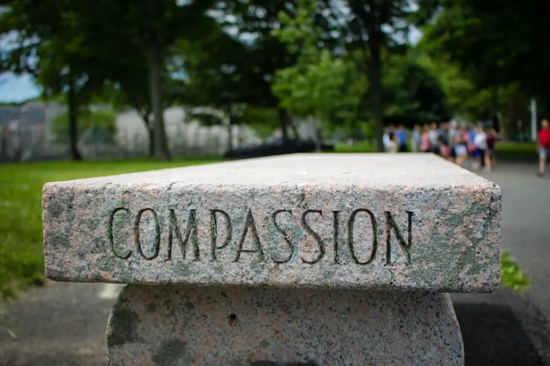 Beyond Court Wins: A Compassion‑Centred Custody Blueprint