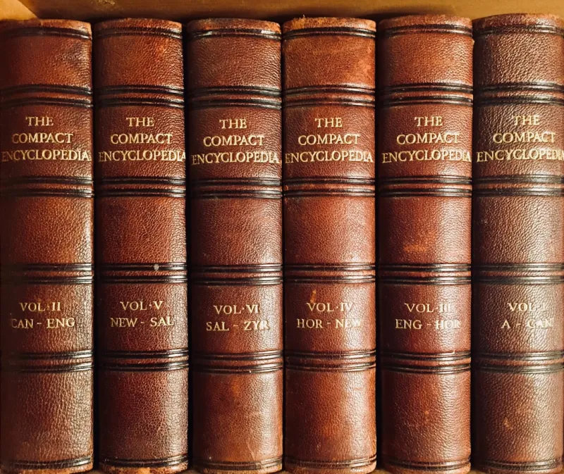 The Shifting Landscape of Employment Law: What Employers and Employees Need to Know