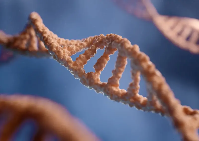 Genetic Testing at Your Fingertips: Legal Challenges for Privacy and Discrimination