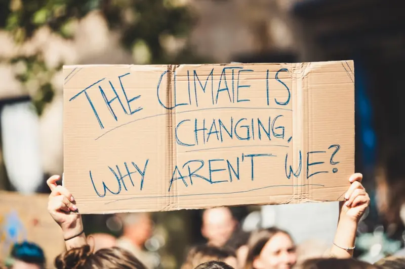 When Courts Become Climate Guardians: The Surge of Environmental Litigation