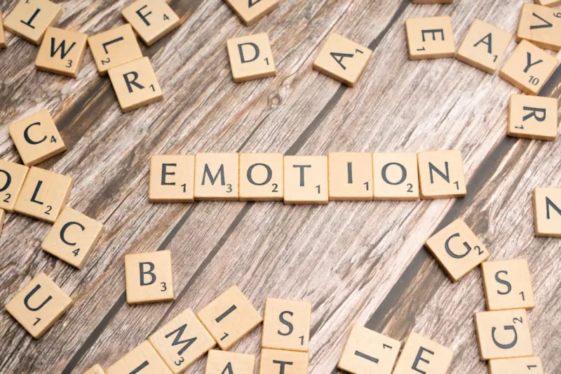 Emotional Intelligence Coaching: The Missing Piece in Modern Family Law