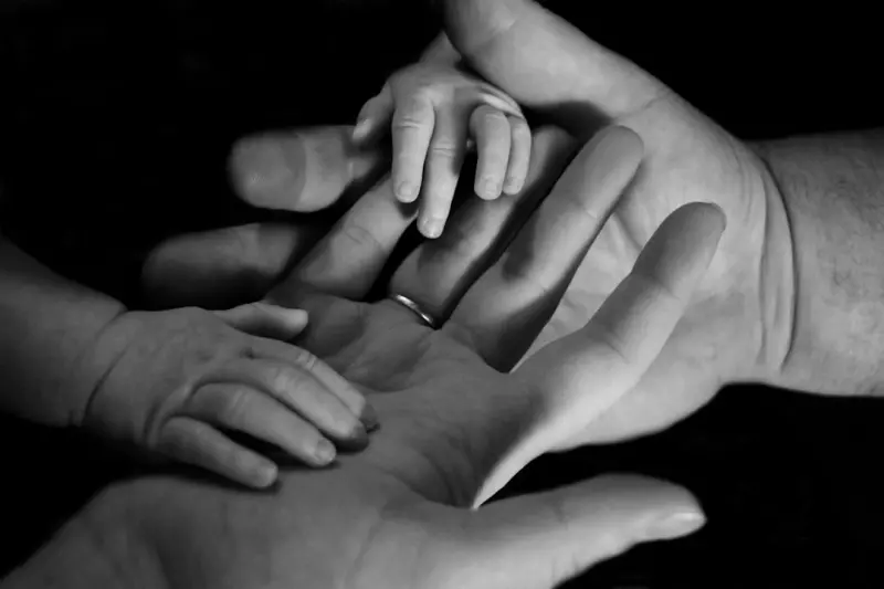 Grandparent Visitation in the Modern Family: Legal Strategies and Emotional Realities Grandparent Visitation in the Modern Family: Legal Strategies and Emotional Realities