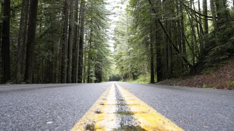 The Road Ahead: Key Trends Shaping Automotive Law The Road Ahead: Key Trends Shaping Automotive Law