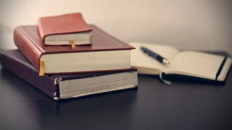 Beyond the Paycheck: Unraveling the New Frontier of Remote Worker Classification