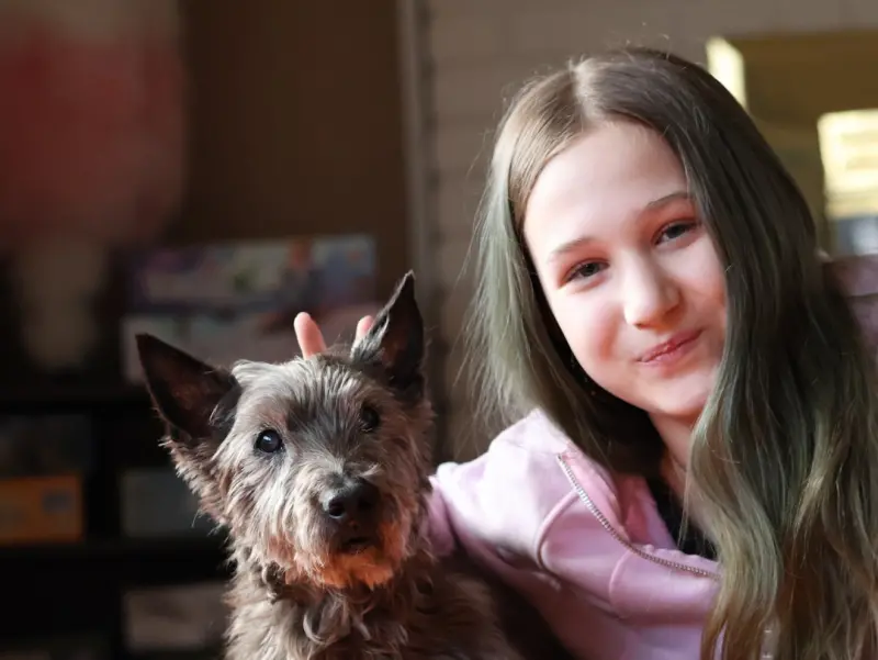 Why Every Pet Owner Needs a Pet Trust in Their Estate Plan Why Every Pet Owner Needs a Pet Trust in Their Estate Plan